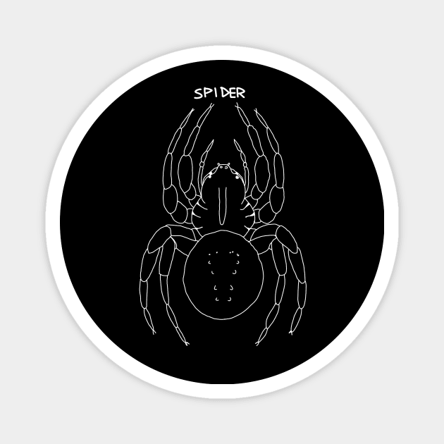 spider Magnet by Antho